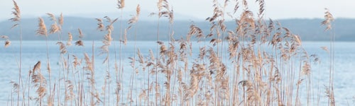 Urlaub am Ammersee