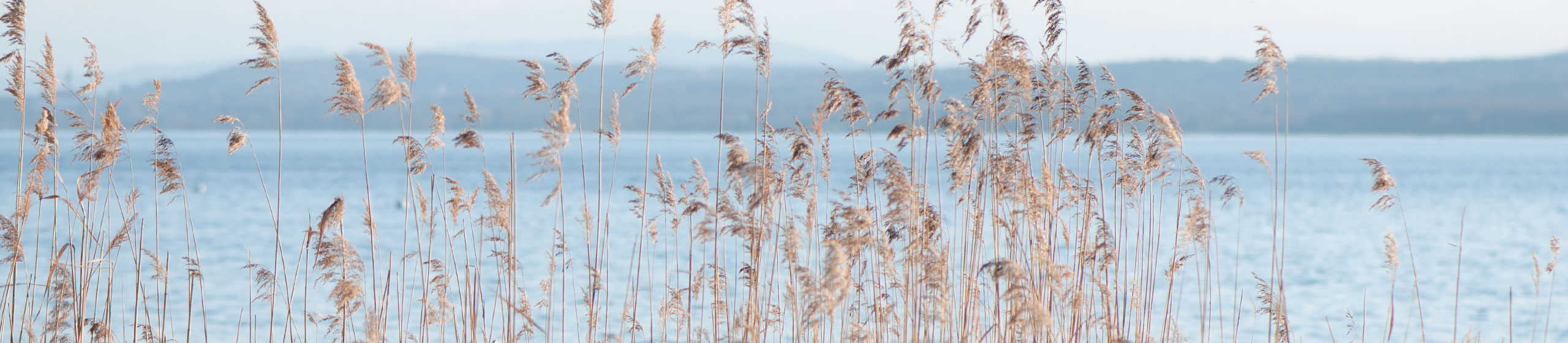 Urlaub am Ammersee